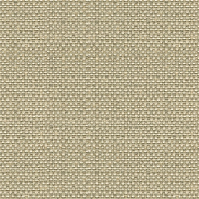 Kravet 31877 Enthusiasm 11 Platinum