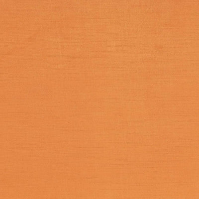 Kasmir Plush Tangerine