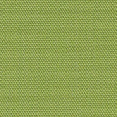 Sunbrella 54011-0000 Canvas Ginkgo