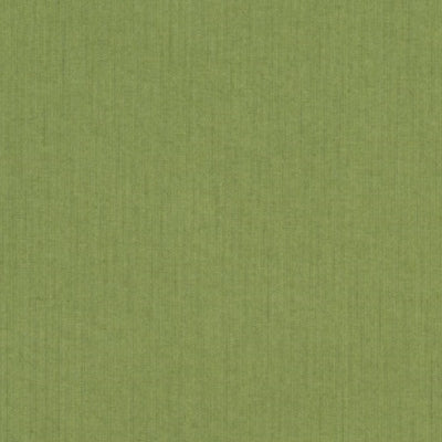 Sunbrella 48022 Spectrum Cilantro