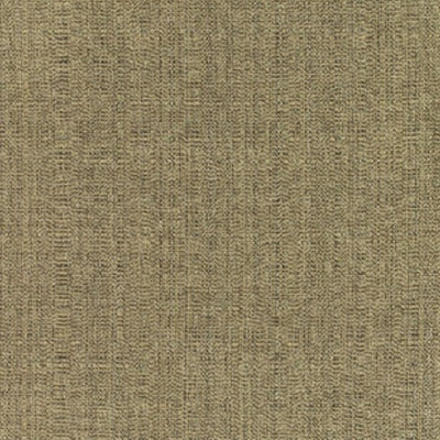 Sunbrella 8317 Linen Pampas