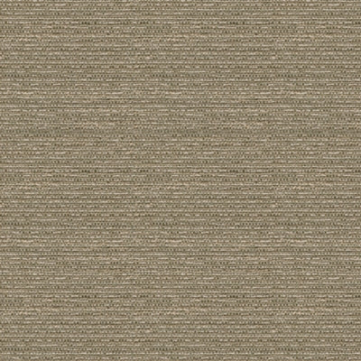 Kravet 31902 Changi 16 Mica