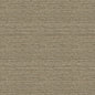 Kravet 31902 Changi 16 Mica