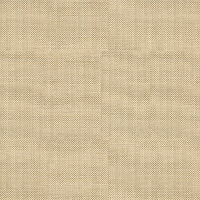 Kravet 31892 Pandan 16 Sandstone