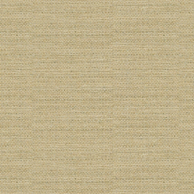 Kravet 31912 Alexandra 14 Golden