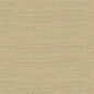 Kravet 31912 Alexandra 14 Golden