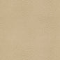 Kravet 31908 Khansama 16 Linen