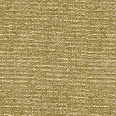 Kravet 31963 Esteem 3 Grove