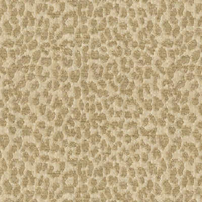 Kravet 31937 Tetouan 16 Creme