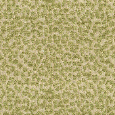 Kravet 31937 Tetouan 316 Spring