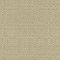 Kravet 31877 Enthusiasm 11 Platinum