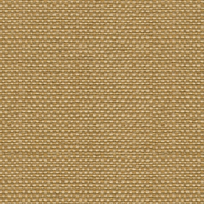 Kravet 31877 Enthusiasm 4 Nutmeg