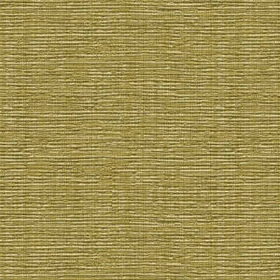 Kravet 31955 Baluchi 3 Tropique
