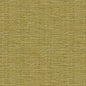 Kravet 31955 Baluchi 3 Tropique