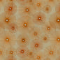 Kravet 30030 Exhilaration 1624 Autumn