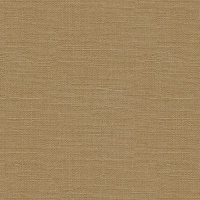 Kravet 31879 Poetry 16 Golden Kiss