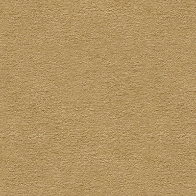 Kravet 31917 Ubi 3 Golden Kiss