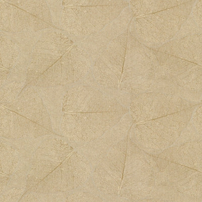 Kravet 28436 Nepal 116 Parchment