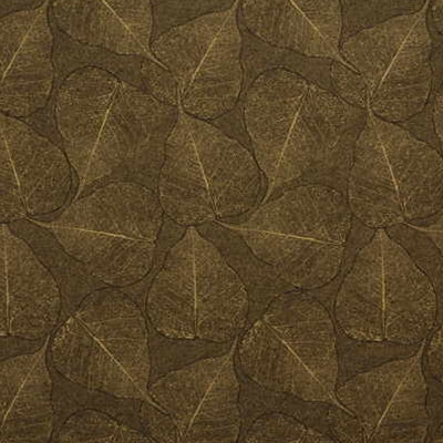 Kravet 28436 Nepal 6