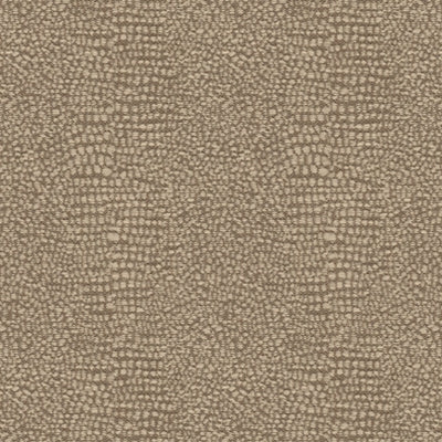 Kravet 31932 Thrill 16 Allure