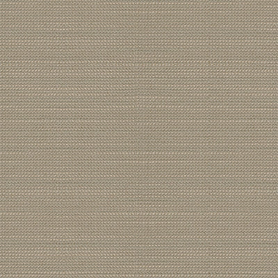 Kravet 31987 Believe 11 Platinum