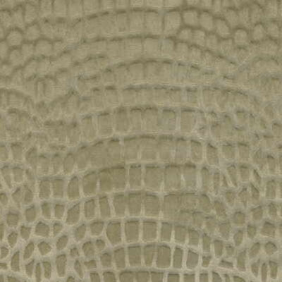 Kravet 29488 Tanjung 16 Light Mink