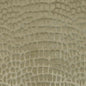 Kravet 29488 Tanjung 16 Light Mink