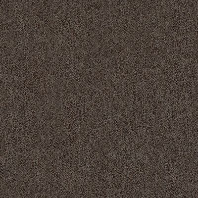Kravet 31779 11