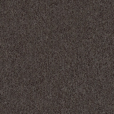 Kravet 31779 811