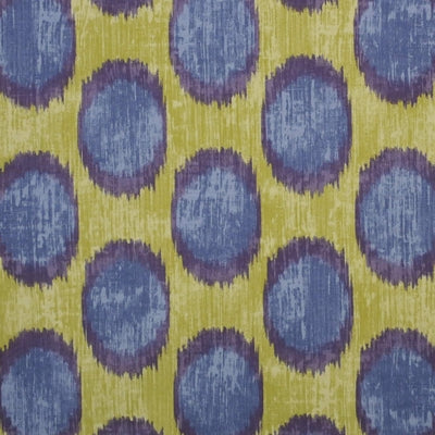 Braemore Dots are Hot Iris