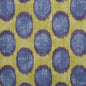 Braemore Dots are Hot Iris
