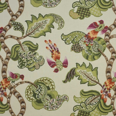 Braemore Henrietta Evergreen