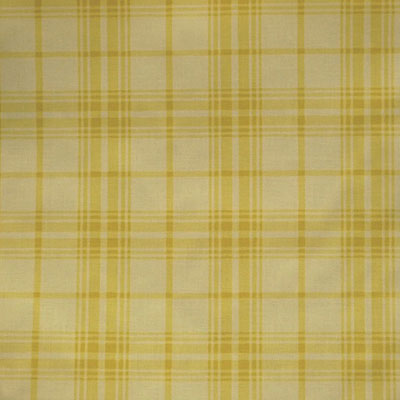 Thibaut Oxford Plaid - F91244