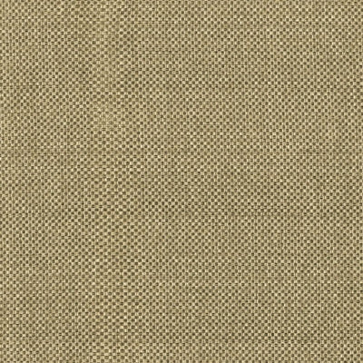 Kasmir Basketweave Driftwood