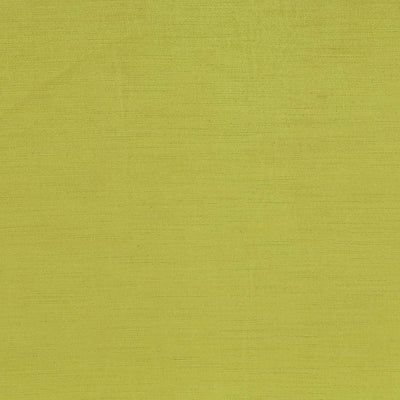 Kasmir Plush Pistacchio