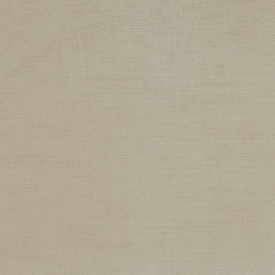 Kasmir Plush Platinum