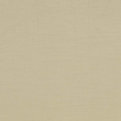 Kasmir Plush Biscuit