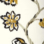 Duralee 42344 711 Black/ Gold