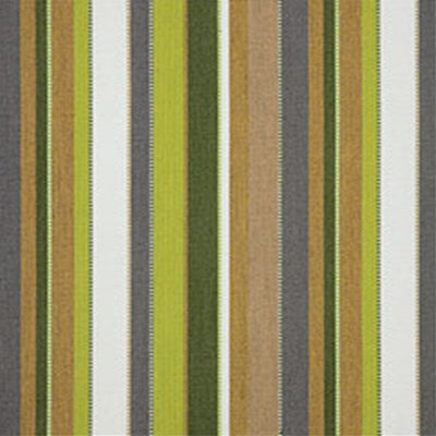 Sunbrella 7775-0000 Carousel Limelite