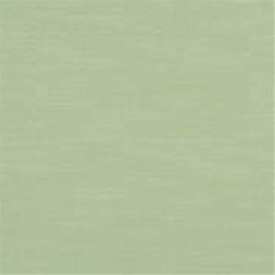 Robert Allen Silky Slub Celadon