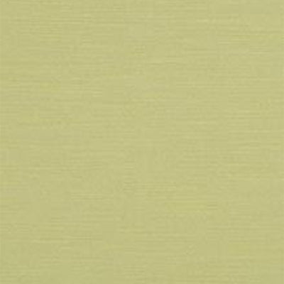 Robert Allen Silky Slub Spring Grass