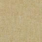 Duralee DW16208 152 Wheat