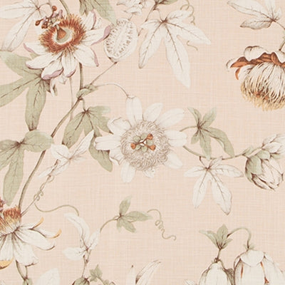 Duralee- DP61895-126 Pastel