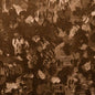 Kravet Malang 6 Lucky Penny