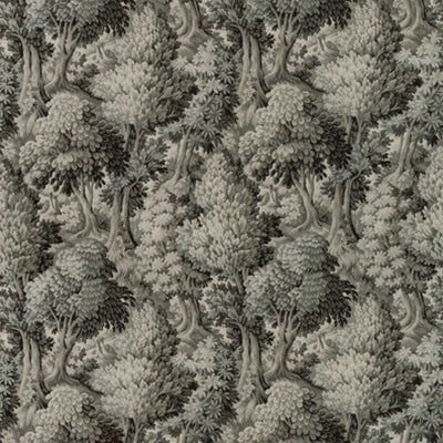 Kravet Fourre 21