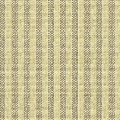 Kravet 34080-1611