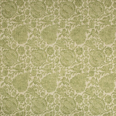 Kravet Pakwa-13