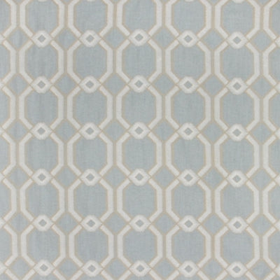 Carole Fabrics Graceful Gate - Powder Blue