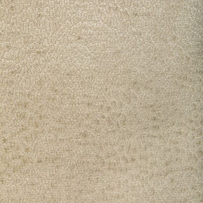 Kravet 36606 - 116