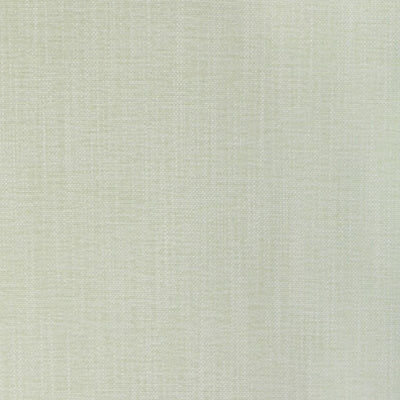 Kravet 36650 - 1101